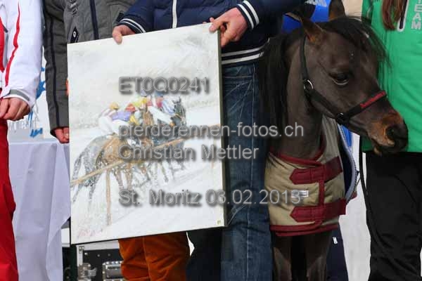 ET0Q0241 prot